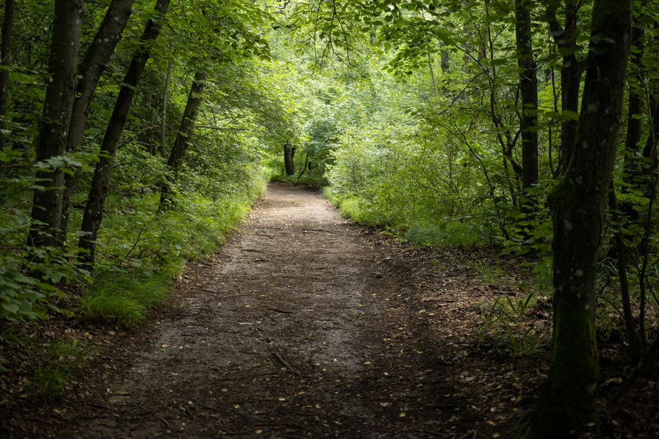 The Habit Of Moving Through The Day: Myths and Facts