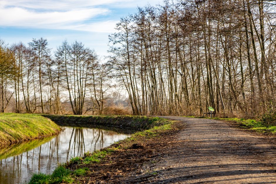 The Pleasure Principle In Healthy Living for Busy People